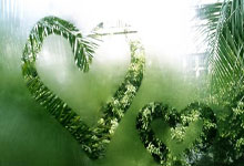 天涯神贴真假难辨？老司机带你扒一扒那些年我们当下的爆帖八卦。